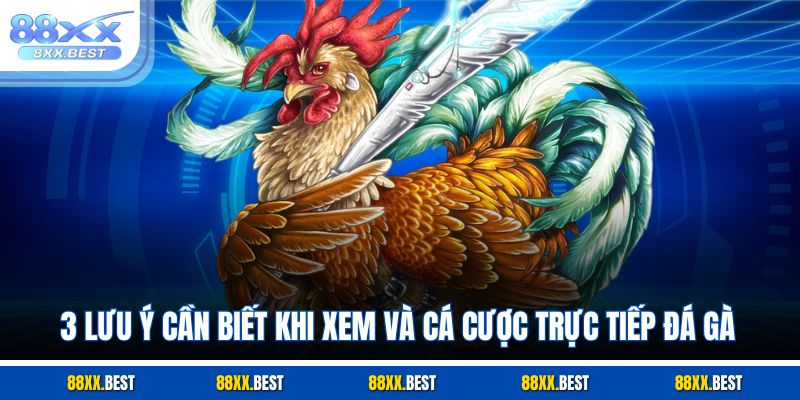3 lưu ý cần biết khi xem và cá cược trực tiếp đá gà 