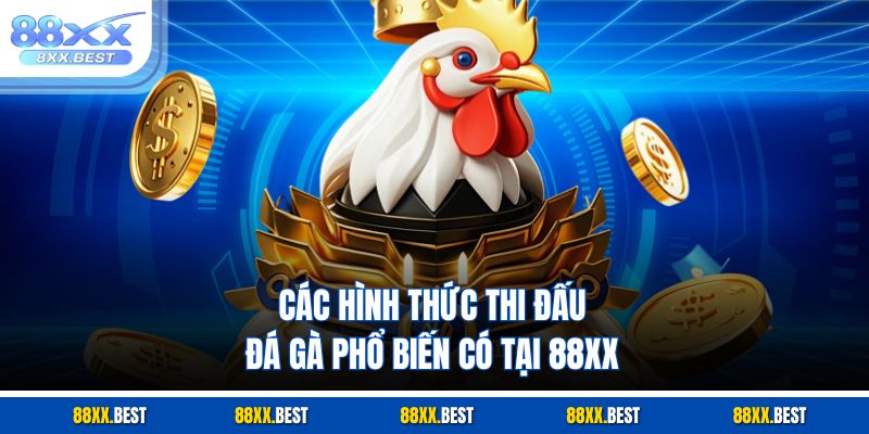 Các hình thức thi đấu đá gà phổ biến có tại 88XX