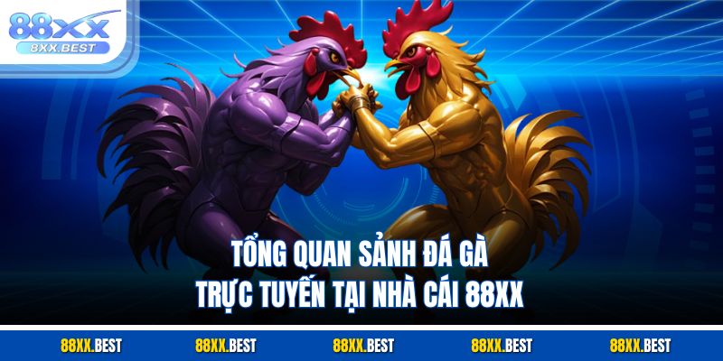 Tổng quan sảnh đá gà trực tuyến tại nhà cái 88XX
